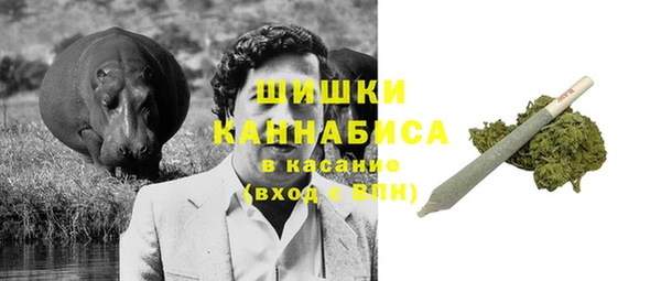 сатива Алексин