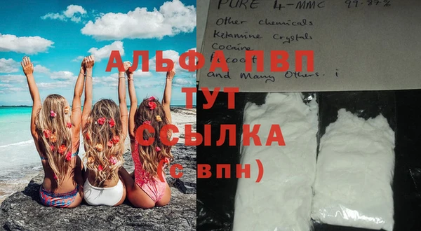 сатива Алексин